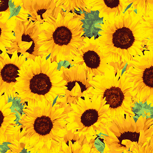 Fresh Market Flowers 2 Sunflower