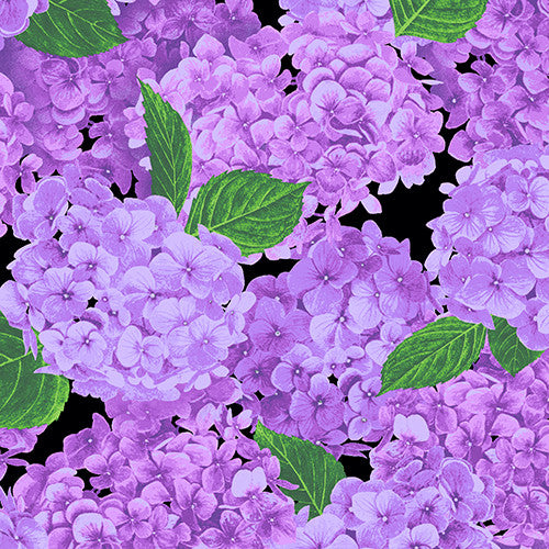 Fresh Market Flowers 2 Hydrandea Purple