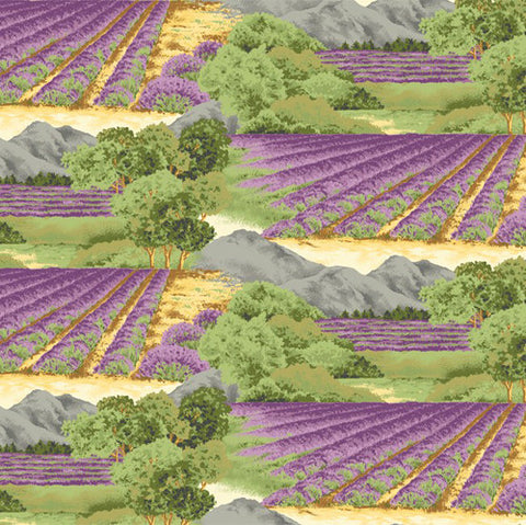 Lavender Bliss Fields Allover